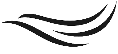 E-ride logistics